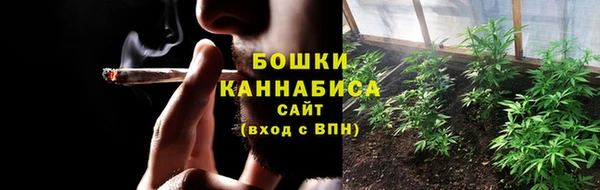 стафф Медвежьегорск